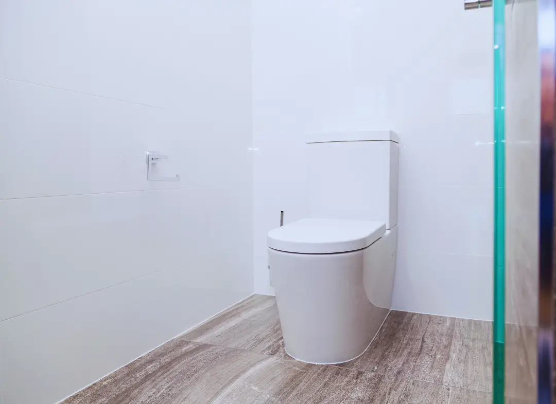 Remplacement de wc Juvignac